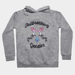 Jailbreaking Gender - Bigender Hoodie